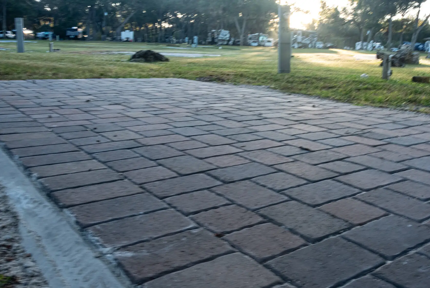 20251025-DSC_2830-e1762350183970